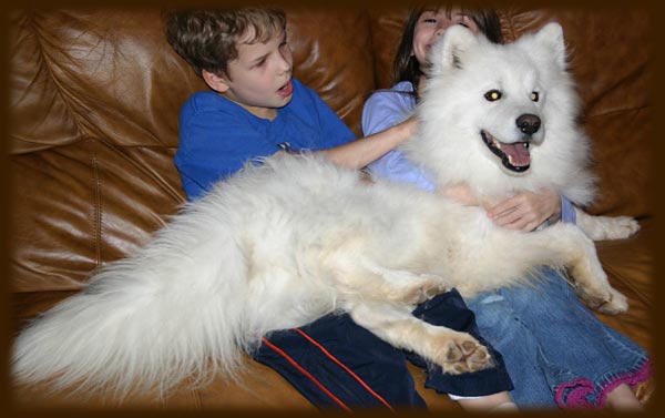 Beau at 6 - Having fun