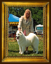 BOS, WB, Tidewater, VA. Handler  Danielle Ellis