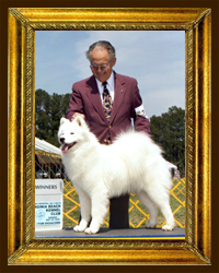 WB 4 PT. Major, Va. Beach, VA, Handler Bert Halsey