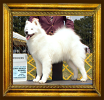 Nerak Legendary Princess Grace